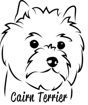 La boutique du Cairn Terrier