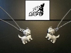 Collier cairn terrier Happy