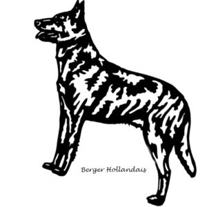 La boutique du Berger Hollandais