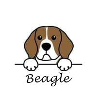 La boutique du Beagle